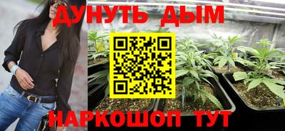 трава Малгобек