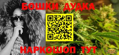 дживик Можга